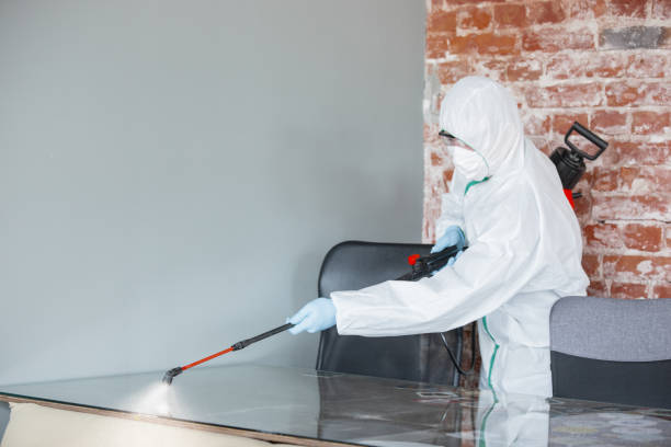 Biohazard Mold Removal in Westbury, NY